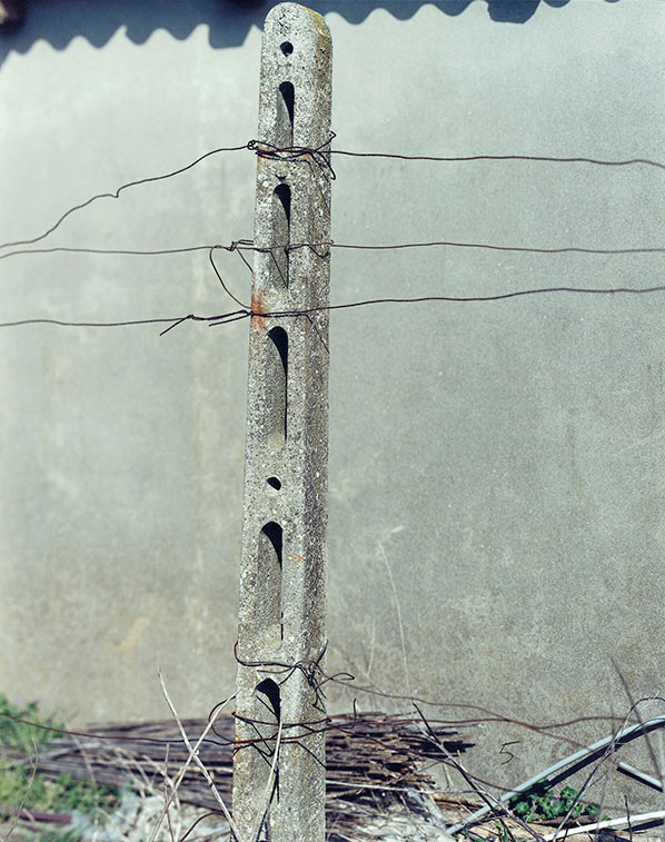 Foto © Guido Guidi