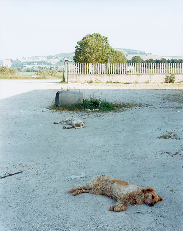 Foto © Guido Guidi