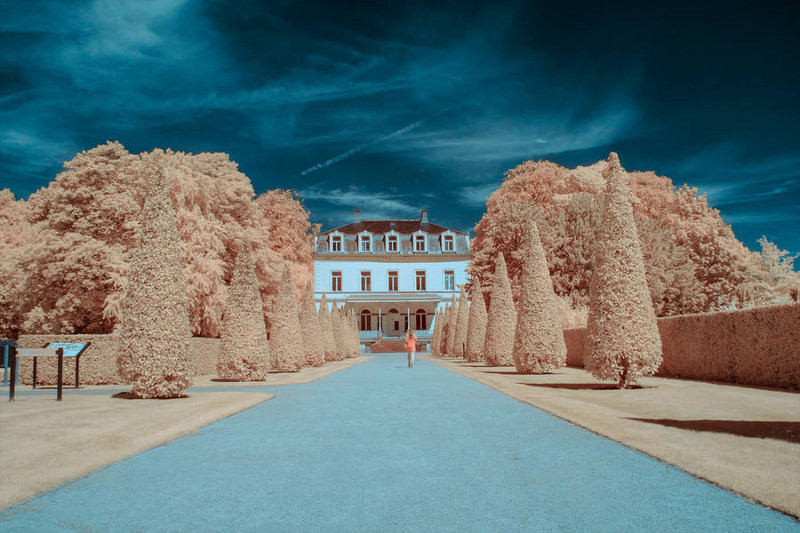 Landschapsfotografie in infrarood