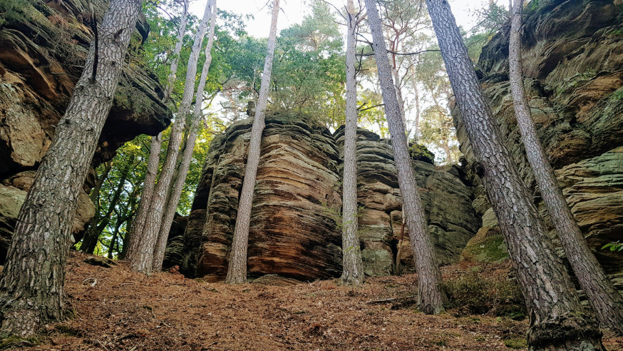 Mullerthal Trail