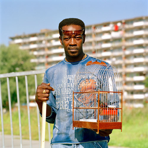 jacquie maria wessels birdmen