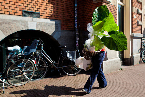 janus vd eijnden