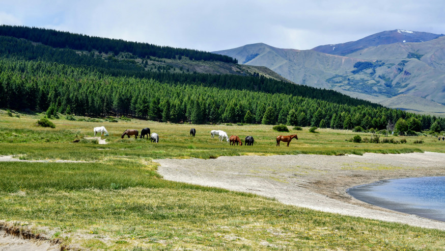 Aysén, fotograferen in Patagonië