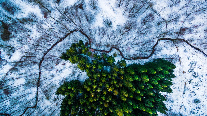 De beste dronefoto's ter wereld