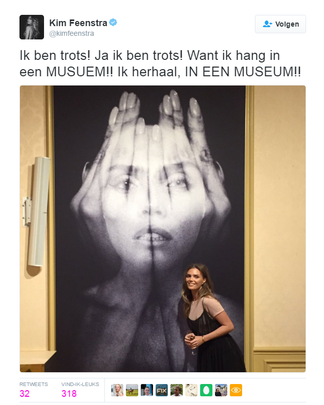 Veiling Het Perfecte Plaatje