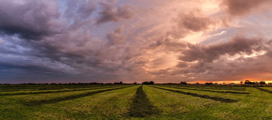 WNF Frans Lanting Photo Award 