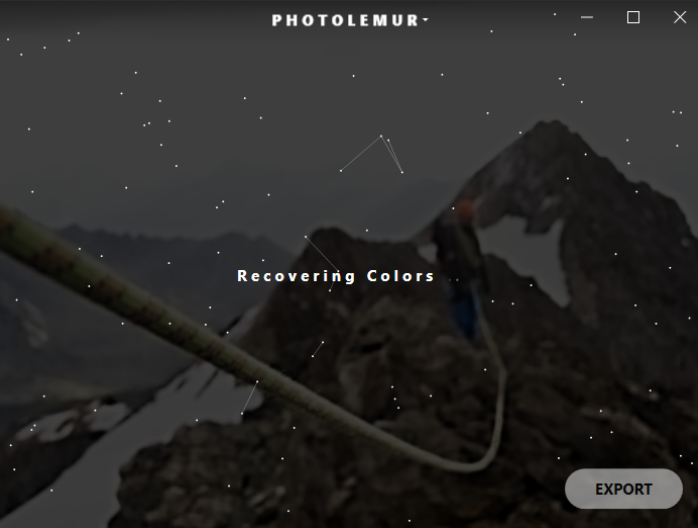 Photolemur