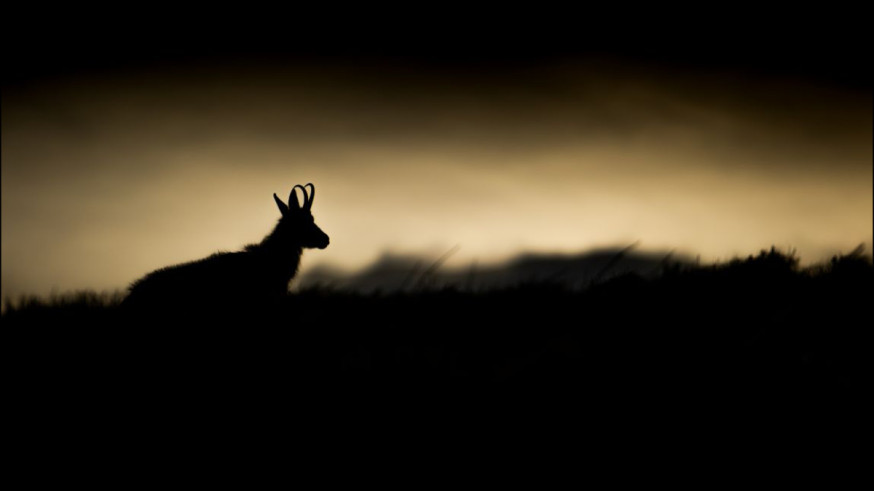 Chris Bal lezersfoto spotlight