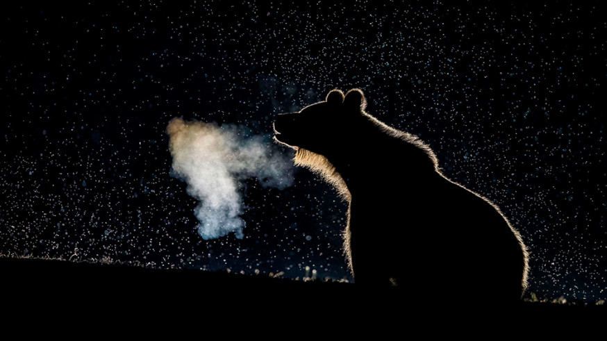 smithsonian photo finalists contest 2018 wedstrijd foto fotografie natuur 