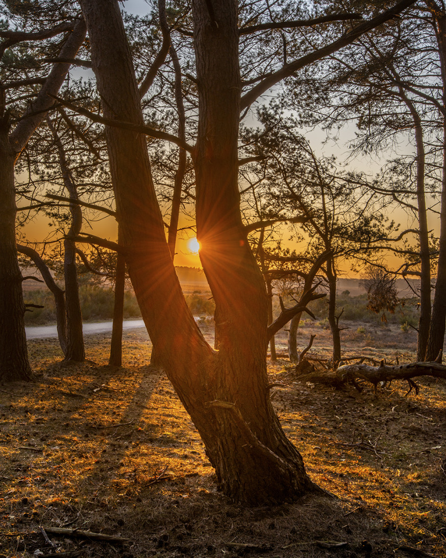 natuurfotografie locaties