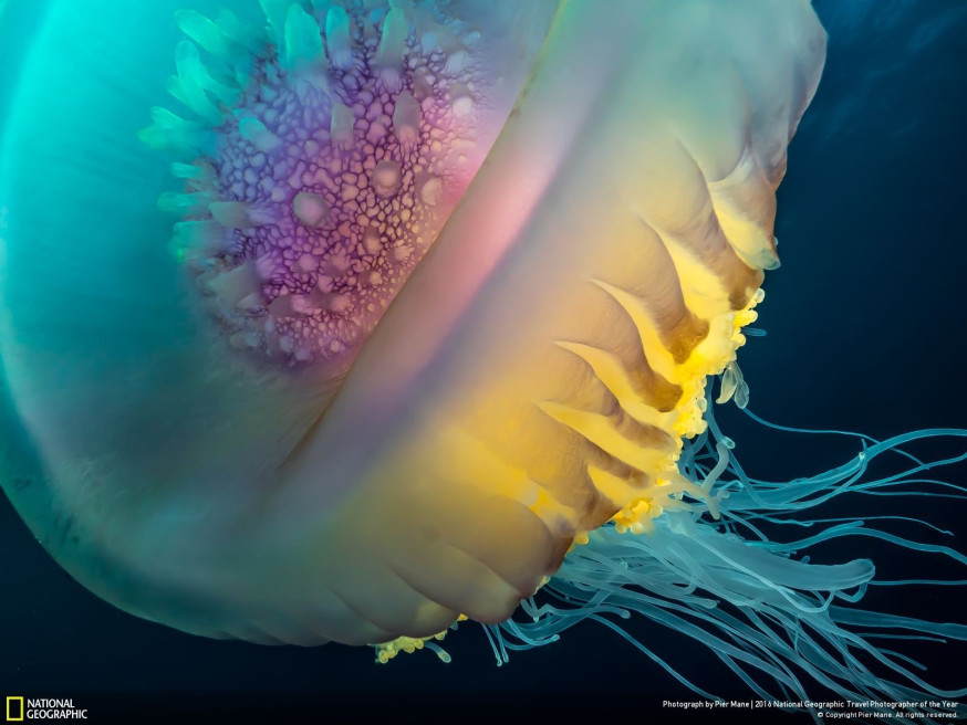 National Geographic Travel Photo Contest