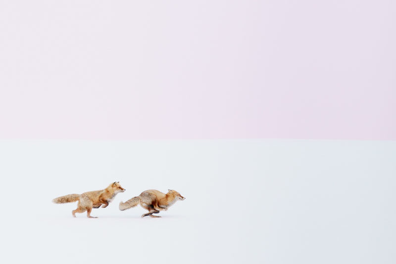 National Geographic Travel Contest