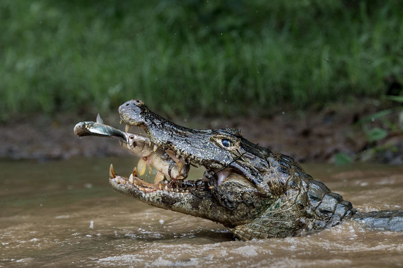 National Geographic Travel Contest