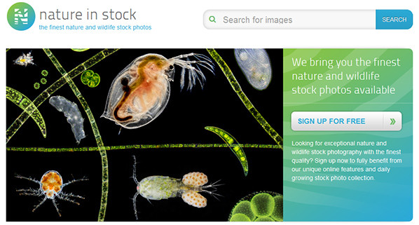 Nature in Stock