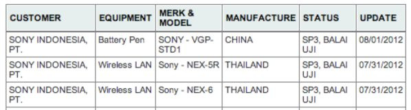 SOny NEX-6