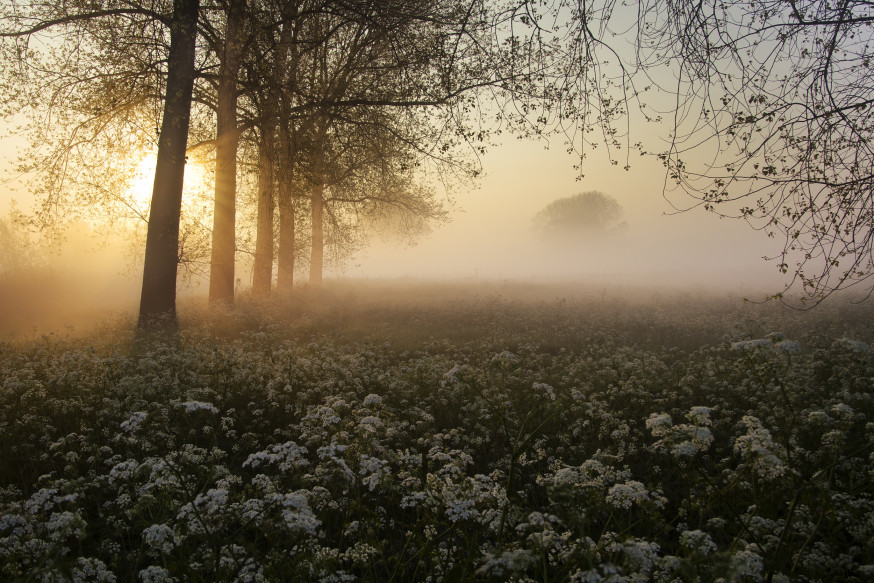 Foto: Niek Goossen