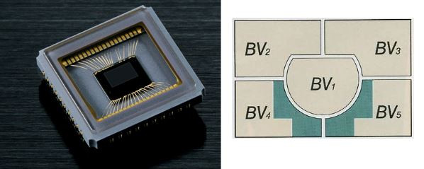 Nikon FA AMP matrix