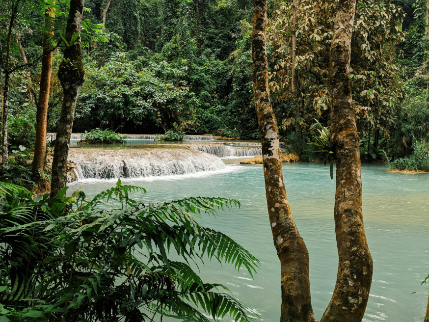 natuurfotografie Laos