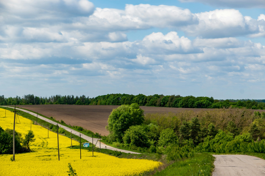 lente fotografie