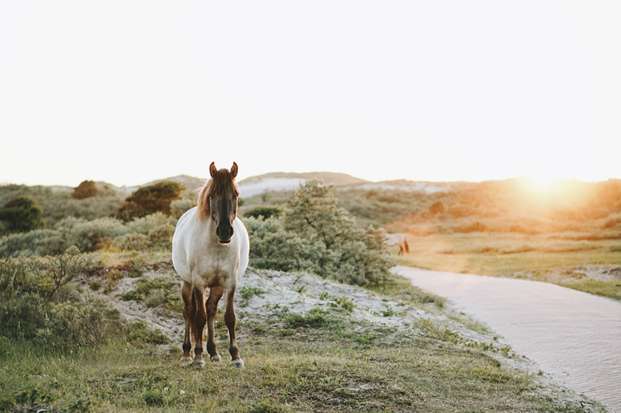 natuurfotografie locaties