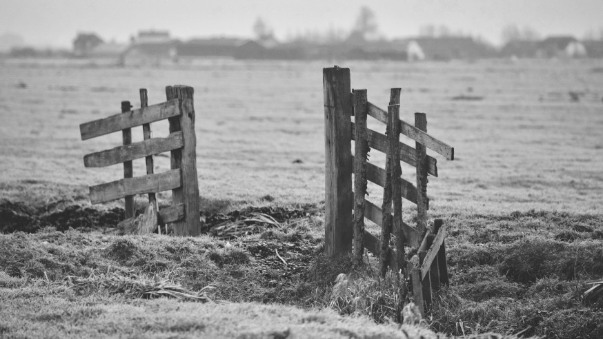 weekopdracht polder polderlandschap