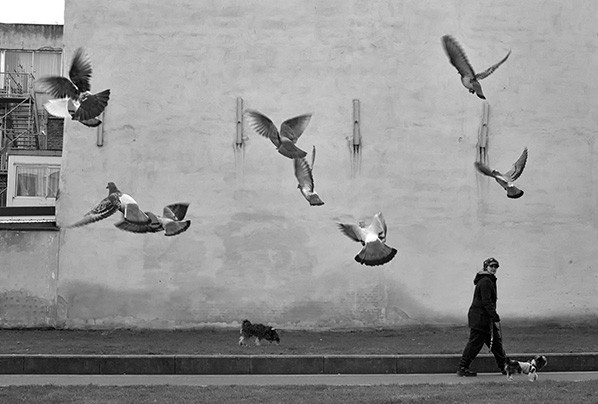 Philippe Wartel