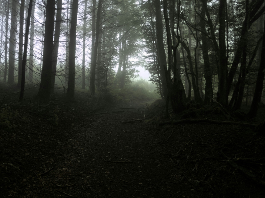 fotografiereis Morvan