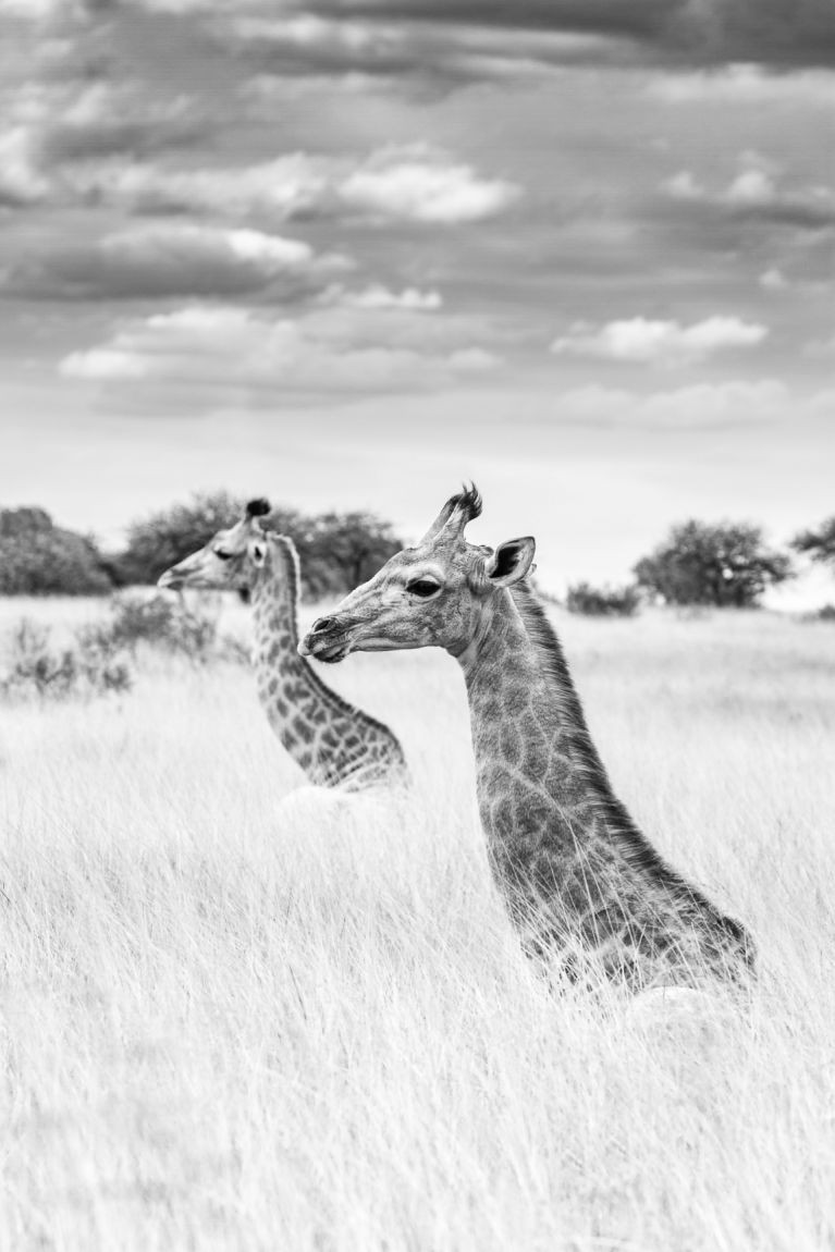 joost meyer lezersfoto spotlight