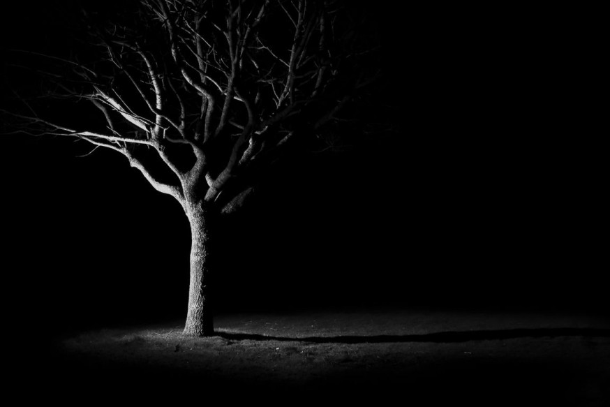 spotlight liane deprost
