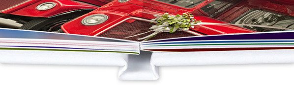 Profotonet Lay Flat