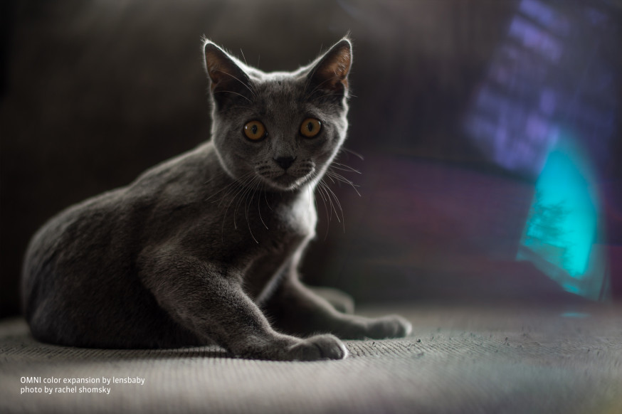 lensbaby omni filterset uitbreiding
