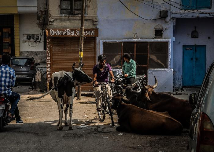 Expositie: Fascinating India van John Seegers