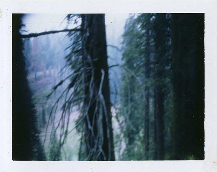 Site Specific Cameras