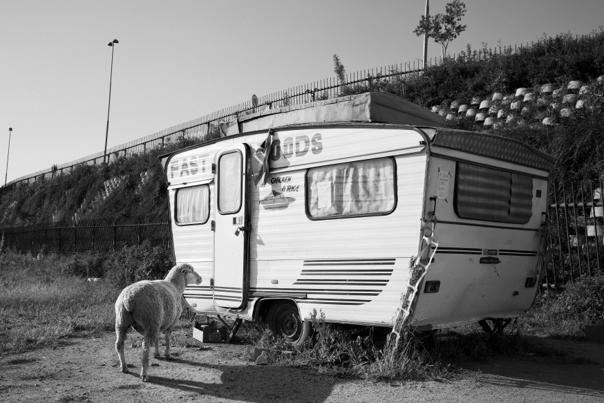 fotoproject Incurious