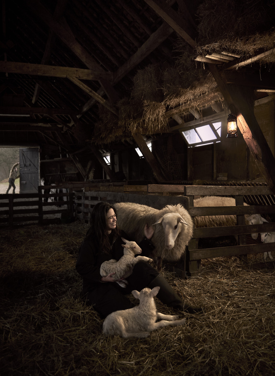 schaapherders Nederland