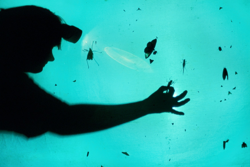 scientist collecting insects at night, Costa rica © Frans Lanting
