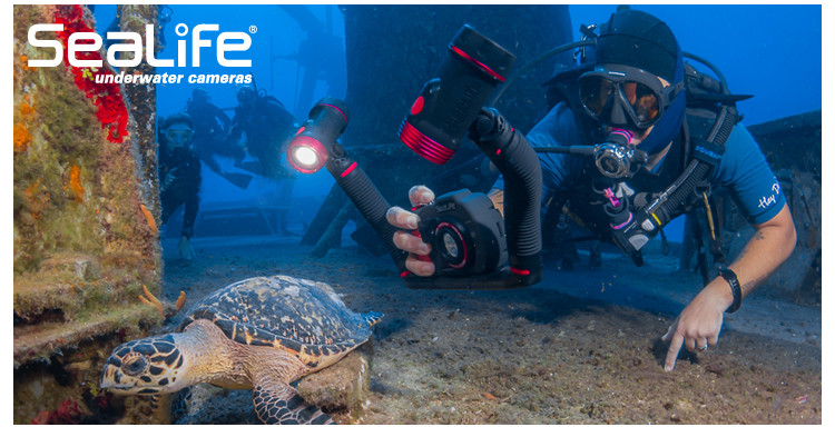SeaLife