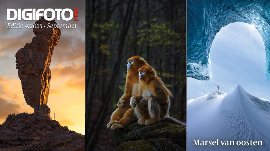 Marsel van Oosten fotografie