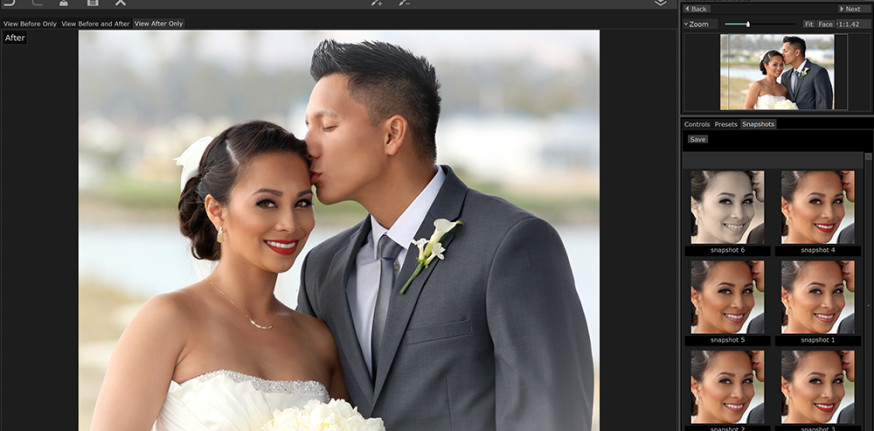 portraitpro 17