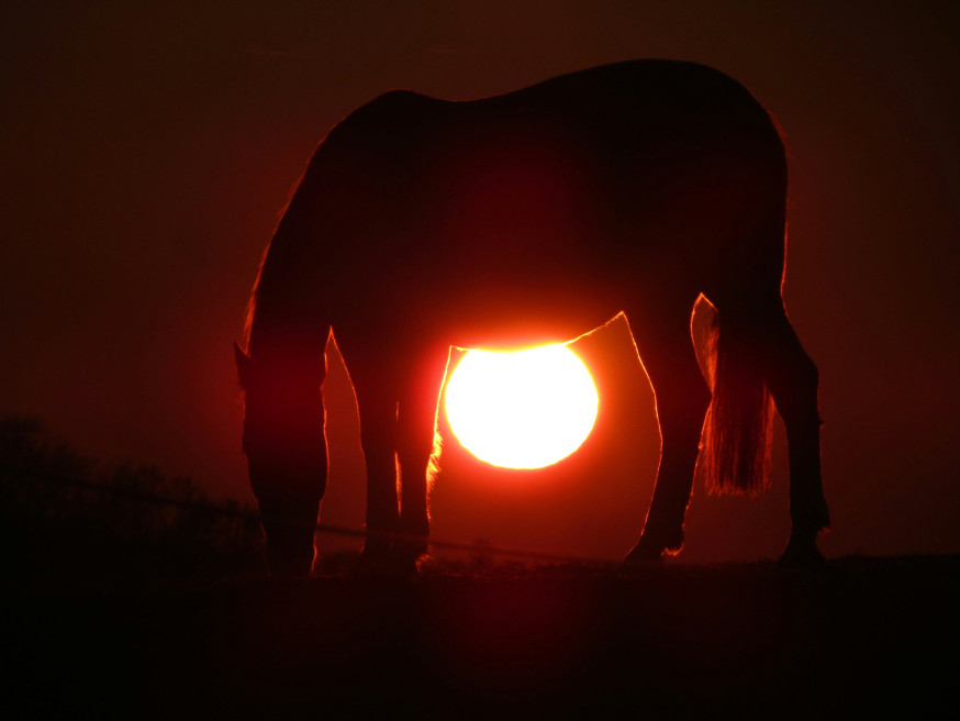 lichtgebruik in fotografie