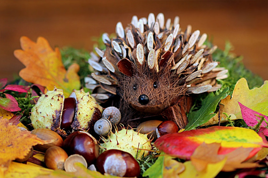 nieuwe weekopdracht herfst