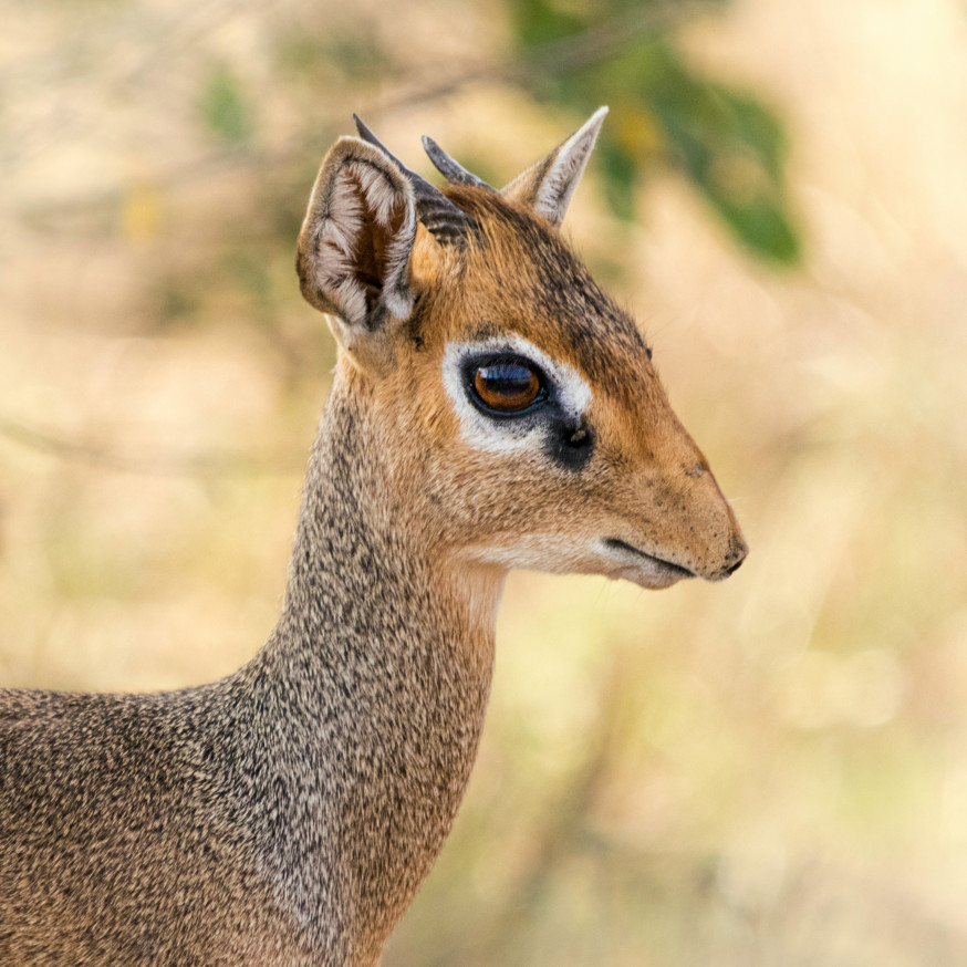 Trends in natuurfotografie