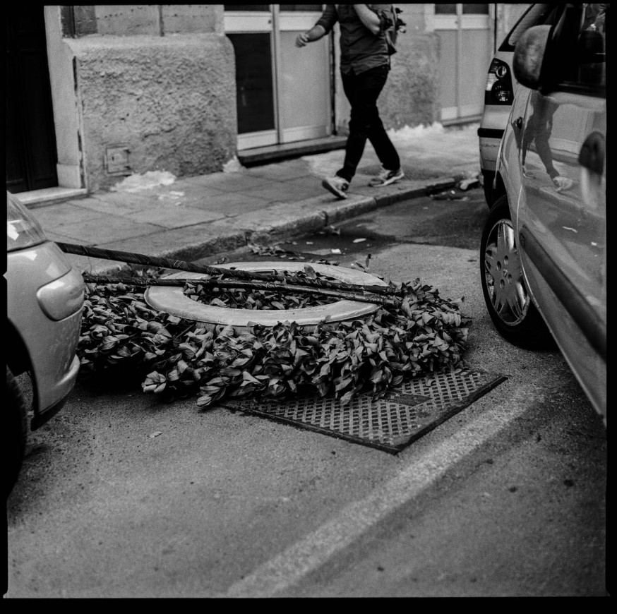 Terra Nostra - Mimi Mollica