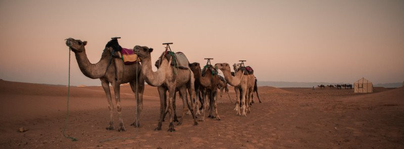 Foto’s van Marokko gemaakt met Hasselblad Xpan