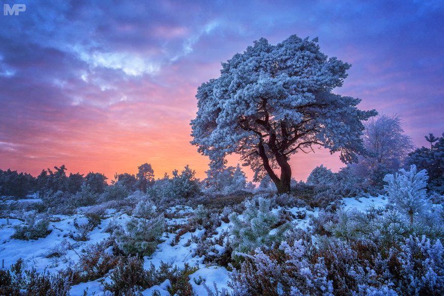 Weekwinnaar week 3 - Martin Podt