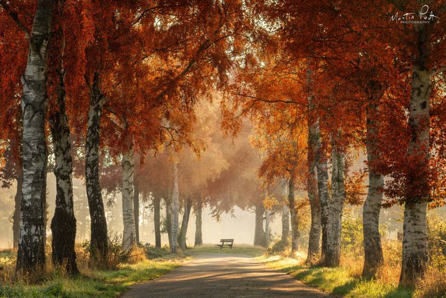 lezersfoto spotlight martin podt