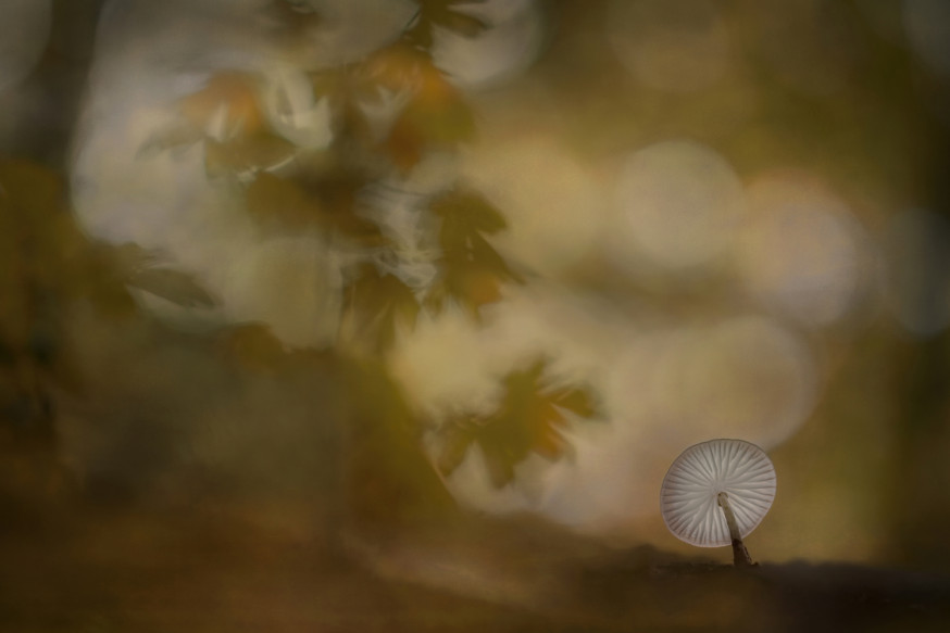 Nel talen lezersfoto spotlight