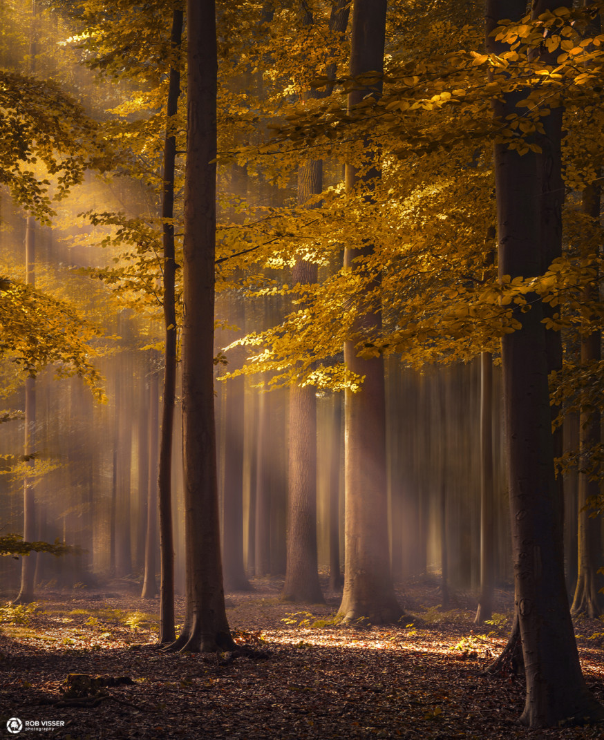 Spotlight Weekwinnaar #47