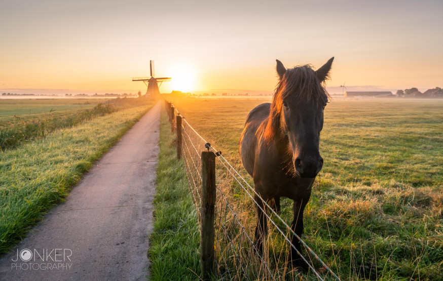 weekwinnaar polder