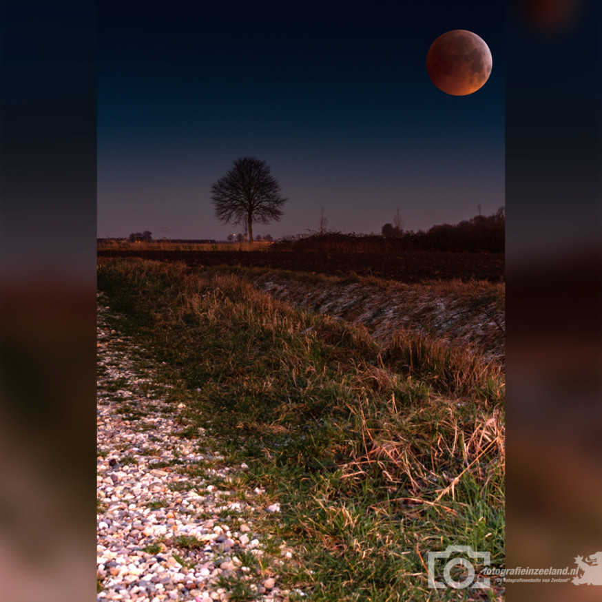 bloedmaan kristian de winter